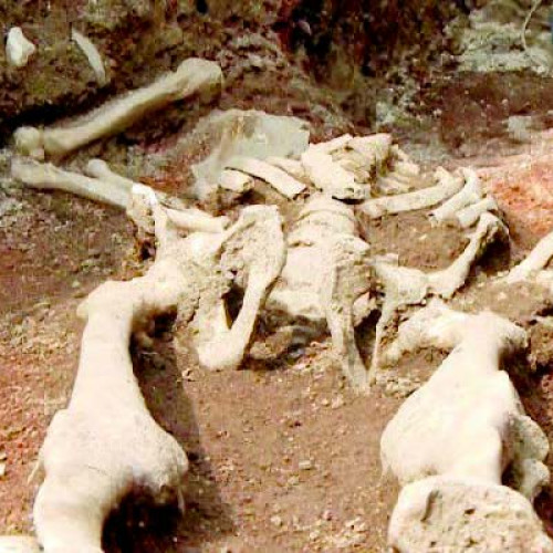 Descoperiri arheologice remarcabile în Bugiulești: cel mai vechi schelet de humanoid din Europa