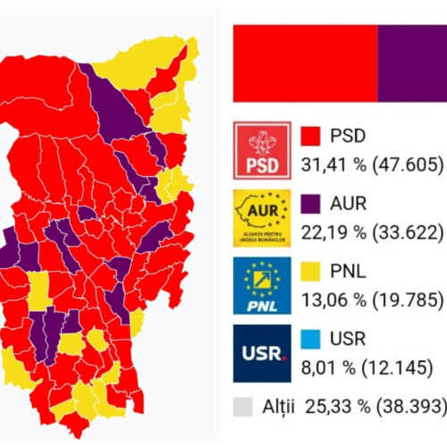 Rezultatele alegerilor parlamentare din județul Vâlcea