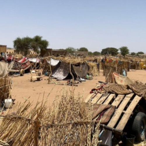 Sudanul este lovit de cea mai gravă epidemie de holeră din ultimii ani: zeci de morți săptămânal, „situaţii oribile şi dezumanizante”