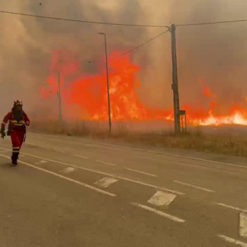 Peste 30 de oameni au fost arestați pentru provocarea incendiilor devastatoare din Spania