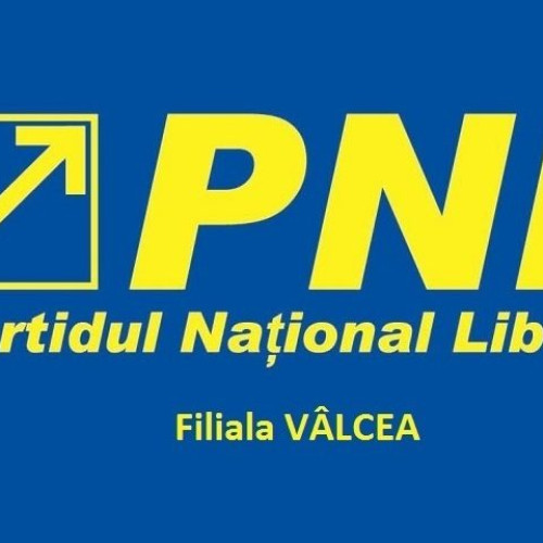 Biroul Politic Județean al PNL Vâlcea a decis demiterea președinților și dizolvarea birourilor politice locale